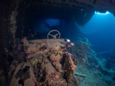 Ägypten, Rotes Meer - Turkia 4137520