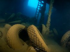 Ägypten, Rotes Meer - Turkia 4137520