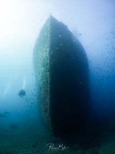 Ägypten, Rotes Meer - Turkia 4137520