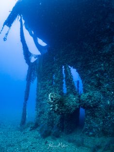 Ägypten, Rotes Meer - Turkia 4137520