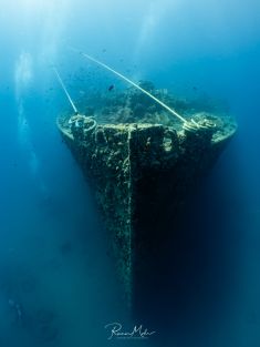 Ägypten, Rotes Meer - Turkia 4137521