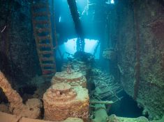 Ägypten, Rotes Meer - Turkia 4137521